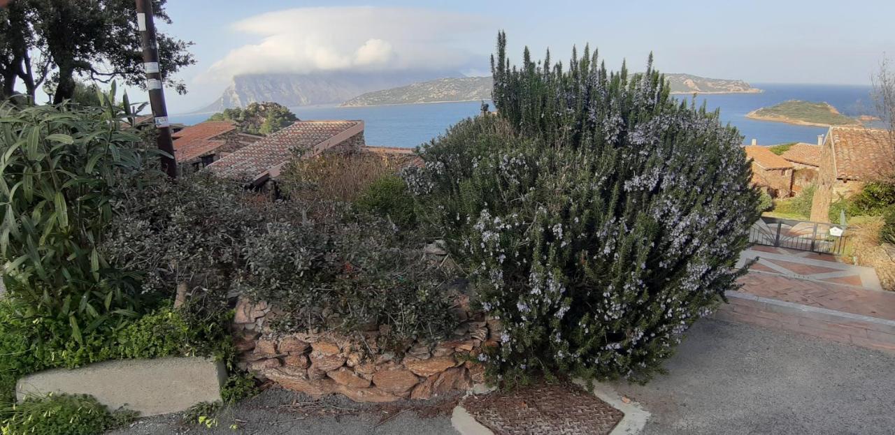 La Finestra Sulla Baia , Charming Sea View By San Teodoro, Coda Cavallo Capo Coda Cavallo Exterior foto