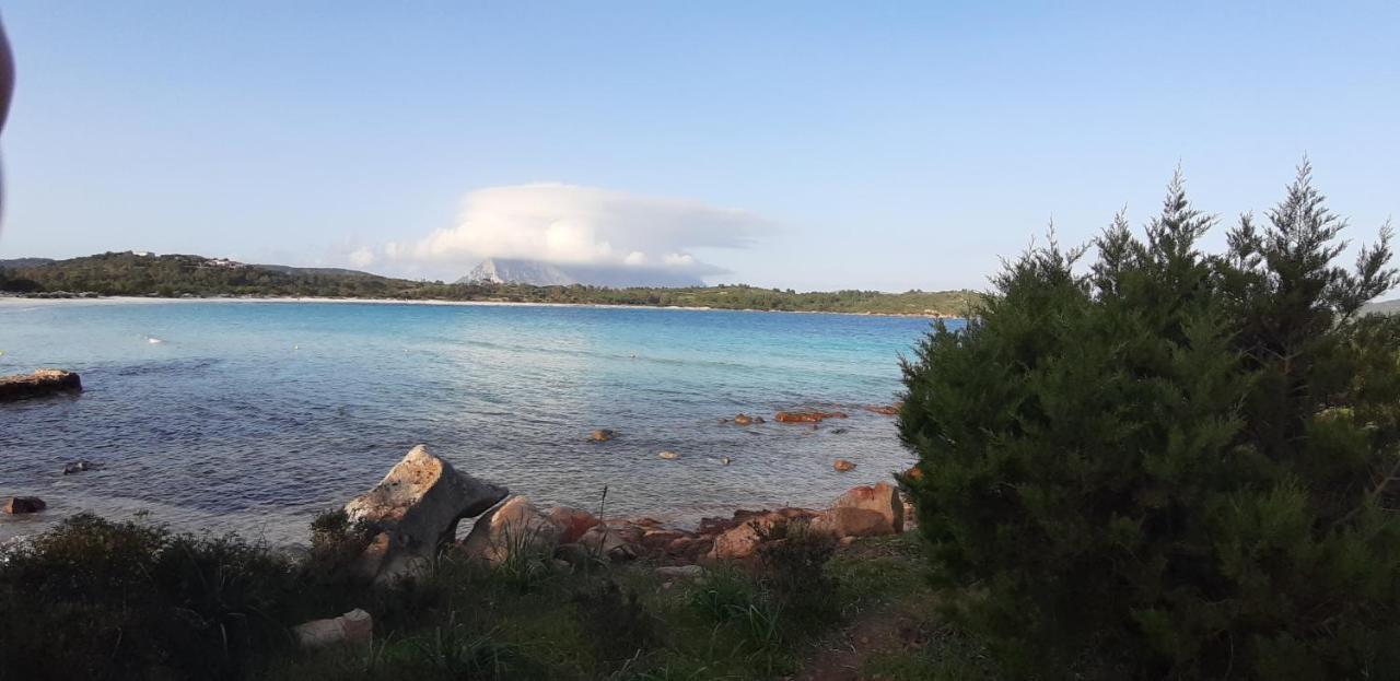 La Finestra Sulla Baia , Charming Sea View By San Teodoro, Coda Cavallo Capo Coda Cavallo Exterior foto