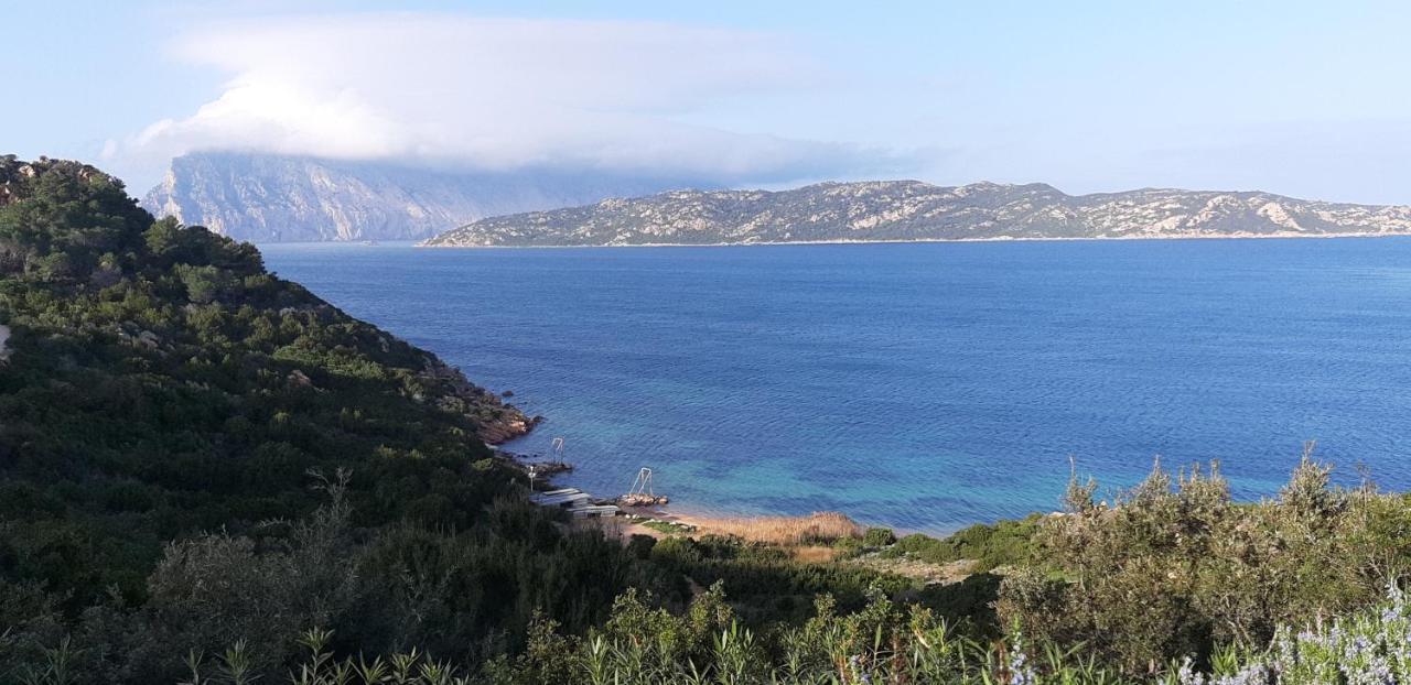 La Finestra Sulla Baia , Charming Sea View By San Teodoro, Coda Cavallo Capo Coda Cavallo Exterior foto