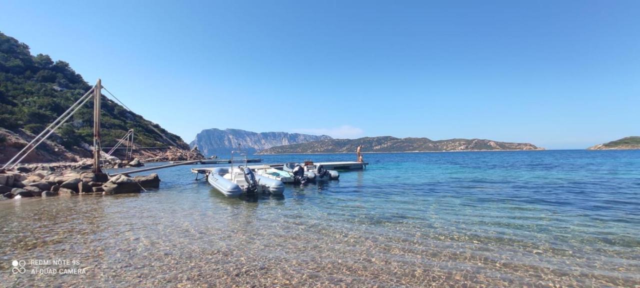 La Finestra Sulla Baia , Charming Sea View By San Teodoro, Coda Cavallo Capo Coda Cavallo Exterior foto