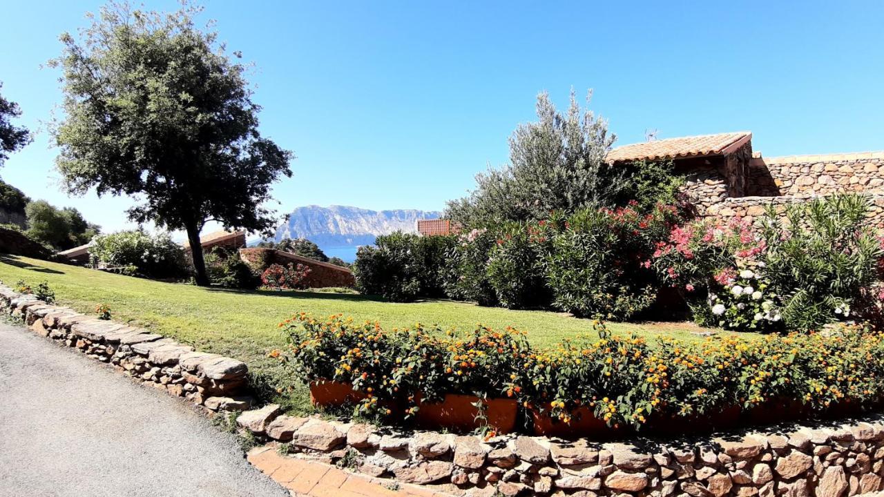 La Finestra Sulla Baia , Charming Sea View By San Teodoro, Coda Cavallo Capo Coda Cavallo Exterior foto